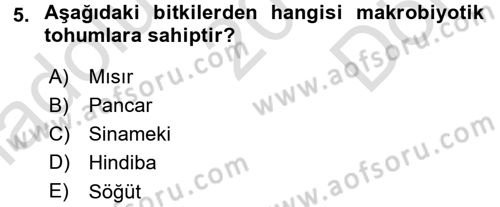 Tarla Bitkileri 1 Dersi 2015 - 2016 Yılı (Final) Dönem Sonu Sınav Soruları 5. Soru