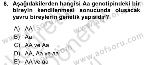 Tarla Bitkileri 1 Dersi 2015 - 2016 Yılı (Final) Dönem Sonu Sınav Soruları 8. Soru