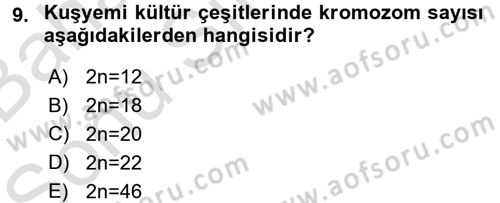 Tarla Bitkileri 1 Dersi 2015 - 2016 Yılı (Final) Dönem Sonu Sınav Soruları 9. Soru