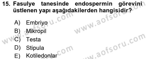 Tarla Bitkileri 1 Dersi 2015 - 2016 Yılı Tek Ders Sınav Soruları 15. Soru