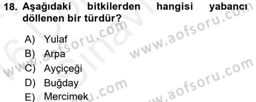 Tarla Bitkileri 1 Dersi 2015 - 2016 Yılı Tek Ders Sınav Soruları 18. Soru