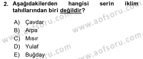 Tarla Bitkileri 1 Dersi 2015 - 2016 Yılı Tek Ders Sınav Soruları 2. Soru