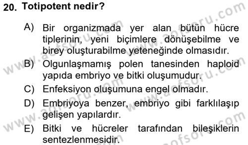 Tarla Bitkileri 1 Dersi 2015 - 2016 Yılı Tek Ders Sınav Soruları 20. Soru