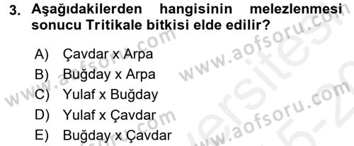 Tarla Bitkileri 1 Dersi 2015 - 2016 Yılı Tek Ders Sınav Soruları 3. Soru