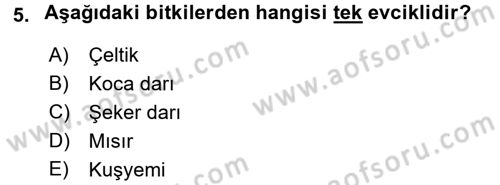 Tarla Bitkileri 1 Dersi 2015 - 2016 Yılı Tek Ders Sınav Soruları 5. Soru