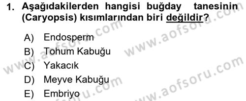 Tarla Bitkileri 1 Dersi 2016 - 2017 Yılı 3 Ders Sınav Soruları 1. Soru