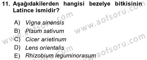 Tarla Bitkileri 1 Dersi 2016 - 2017 Yılı 3 Ders Sınav Soruları 11. Soru