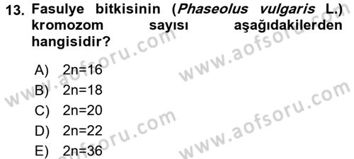 Tarla Bitkileri 1 Dersi 2016 - 2017 Yılı 3 Ders Sınav Soruları 13. Soru