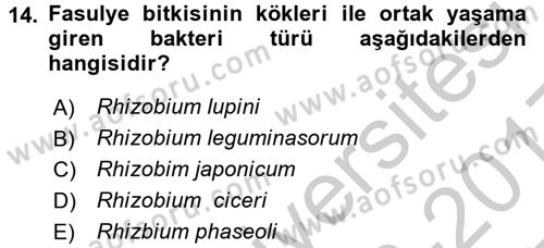 Tarla Bitkileri 1 Dersi 2016 - 2017 Yılı 3 Ders Sınav Soruları 14. Soru