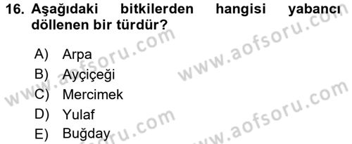 Tarla Bitkileri 1 Dersi 2016 - 2017 Yılı 3 Ders Sınav Soruları 16. Soru