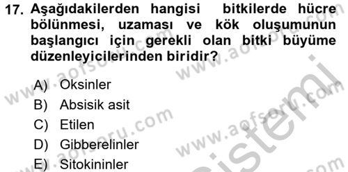 Tarla Bitkileri 1 Dersi 2016 - 2017 Yılı 3 Ders Sınav Soruları 17. Soru