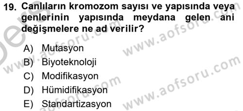 Tarla Bitkileri 1 Dersi 2016 - 2017 Yılı 3 Ders Sınav Soruları 19. Soru
