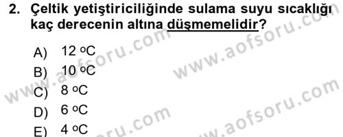 Tarla Bitkileri 1 Dersi 2016 - 2017 Yılı 3 Ders Sınav Soruları 2. Soru