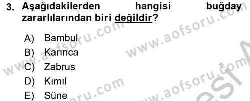 Tarla Bitkileri 1 Dersi 2016 - 2017 Yılı 3 Ders Sınav Soruları 3. Soru