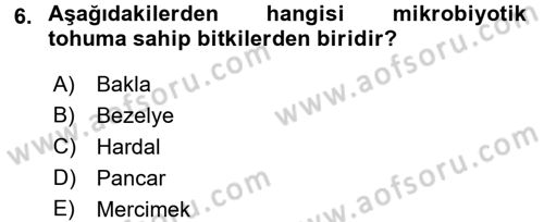 Tarla Bitkileri 1 Dersi 2016 - 2017 Yılı 3 Ders Sınav Soruları 6. Soru