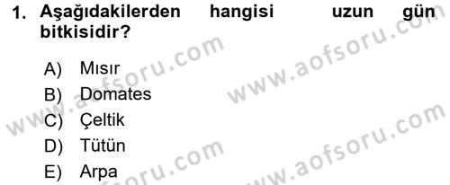 Tarla Bitkileri 1 Dersi 2016 - 2017 Yılı (Vize) Ara Sınavı 1. Soru