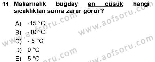 Tarla Bitkileri 1 Dersi 2016 - 2017 Yılı (Vize) Ara Sınavı 11. Soru