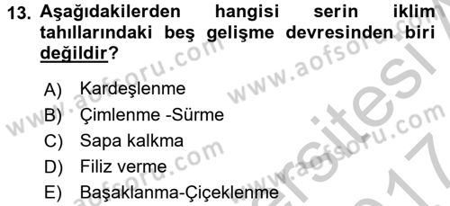 Tarla Bitkileri 1 Dersi 2016 - 2017 Yılı (Vize) Ara Sınavı 13. Soru