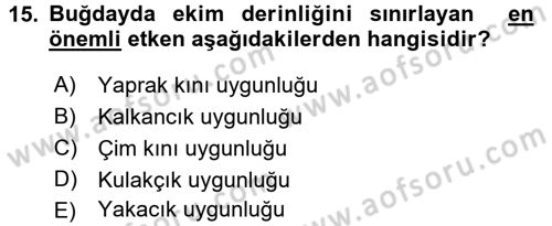 Tarla Bitkileri 1 Dersi 2016 - 2017 Yılı (Vize) Ara Sınavı 15. Soru