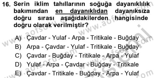 Tarla Bitkileri 1 Dersi 2016 - 2017 Yılı (Vize) Ara Sınavı 16. Soru
