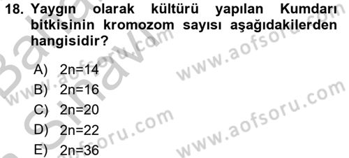 Tarla Bitkileri 1 Dersi 2016 - 2017 Yılı (Vize) Ara Sınavı 18. Soru