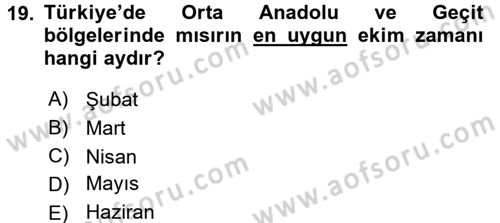 Tarla Bitkileri 1 Dersi 2016 - 2017 Yılı (Vize) Ara Sınavı 19. Soru