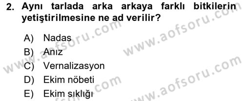 Tarla Bitkileri 1 Dersi 2016 - 2017 Yılı (Vize) Ara Sınavı 2. Soru
