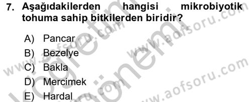 Tarla Bitkileri 1 Dersi 2016 - 2017 Yılı (Vize) Ara Sınavı 7. Soru