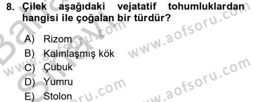 Tarla Bitkileri 1 Dersi 2016 - 2017 Yılı (Vize) Ara Sınavı 8. Soru