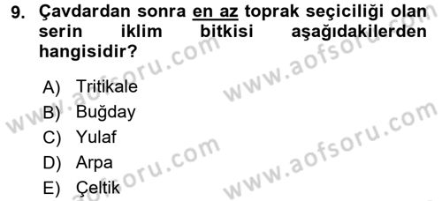 Tarla Bitkileri 1 Dersi 2016 - 2017 Yılı (Vize) Ara Sınavı 9. Soru