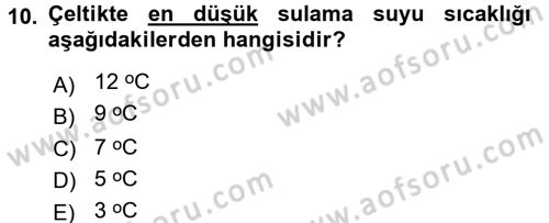 Tarla Bitkileri 1 Dersi 2016 - 2017 Yılı (Final) Dönem Sonu Sınav Soruları 10. Soru
