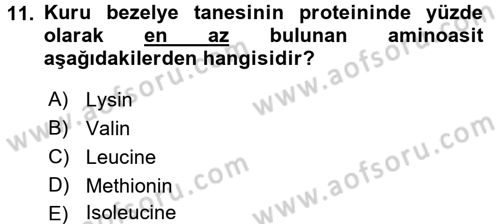 Tarla Bitkileri 1 Dersi 2016 - 2017 Yılı (Final) Dönem Sonu Sınav Soruları 11. Soru