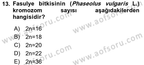 Tarla Bitkileri 1 Dersi 2016 - 2017 Yılı (Final) Dönem Sonu Sınav Soruları 13. Soru