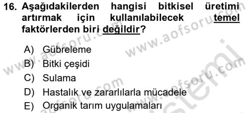 Tarla Bitkileri 1 Dersi 2016 - 2017 Yılı (Final) Dönem Sonu Sınav Soruları 16. Soru