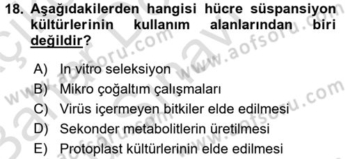 Tarla Bitkileri 1 Dersi 2016 - 2017 Yılı (Final) Dönem Sonu Sınav Soruları 18. Soru