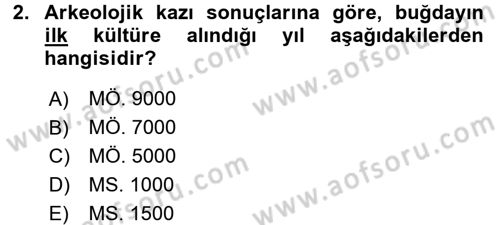 Tarla Bitkileri 1 Dersi 2016 - 2017 Yılı (Final) Dönem Sonu Sınav Soruları 2. Soru