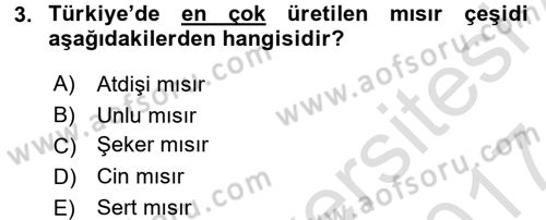 Tarla Bitkileri 1 Dersi 2016 - 2017 Yılı (Final) Dönem Sonu Sınav Soruları 3. Soru