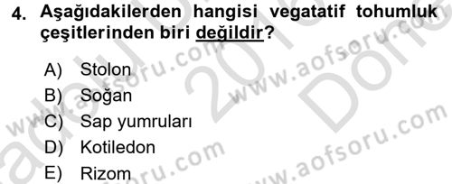 Tarla Bitkileri 1 Dersi 2016 - 2017 Yılı (Final) Dönem Sonu Sınav Soruları 4. Soru