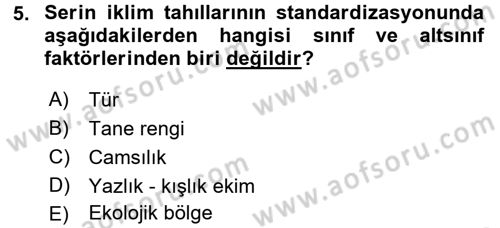 Tarla Bitkileri 1 Dersi 2016 - 2017 Yılı (Final) Dönem Sonu Sınav Soruları 5. Soru