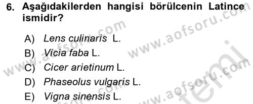 Tarla Bitkileri 1 Dersi 2016 - 2017 Yılı (Final) Dönem Sonu Sınav Soruları 6. Soru