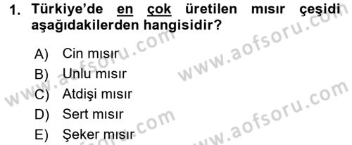 Tarla Bitkileri 1 Dersi 2017 - 2018 Yılı 3 Ders Sınav Soruları 1. Soru