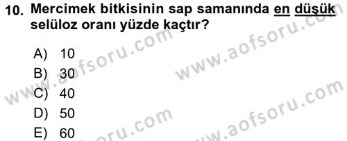 Tarla Bitkileri 1 Dersi 2017 - 2018 Yılı 3 Ders Sınav Soruları 10. Soru