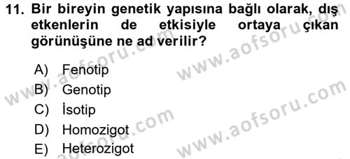 Tarla Bitkileri 1 Dersi 2017 - 2018 Yılı 3 Ders Sınav Soruları 11. Soru