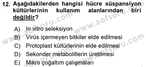 Tarla Bitkileri 1 Dersi 2017 - 2018 Yılı 3 Ders Sınav Soruları 12. Soru