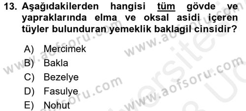 Tarla Bitkileri 1 Dersi 2017 - 2018 Yılı 3 Ders Sınav Soruları 13. Soru