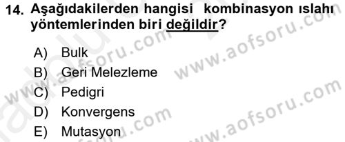Tarla Bitkileri 1 Dersi 2017 - 2018 Yılı 3 Ders Sınav Soruları 14. Soru
