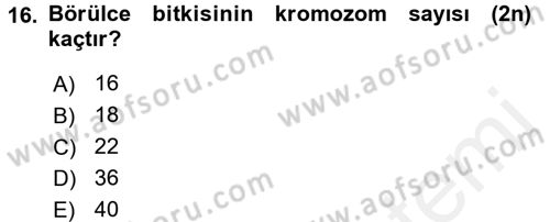 Tarla Bitkileri 1 Dersi 2017 - 2018 Yılı 3 Ders Sınav Soruları 16. Soru