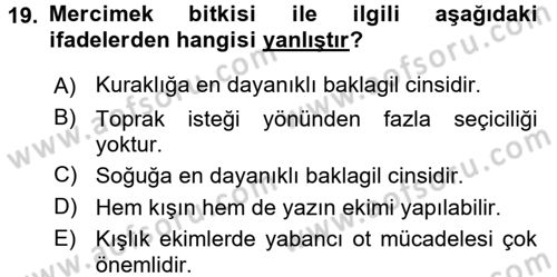Tarla Bitkileri 1 Dersi 2017 - 2018 Yılı 3 Ders Sınav Soruları 19. Soru