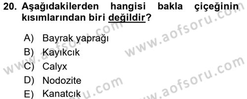 Tarla Bitkileri 1 Dersi 2017 - 2018 Yılı 3 Ders Sınav Soruları 20. Soru