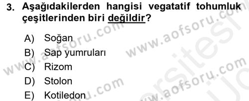 Tarla Bitkileri 1 Dersi 2017 - 2018 Yılı 3 Ders Sınav Soruları 3. Soru